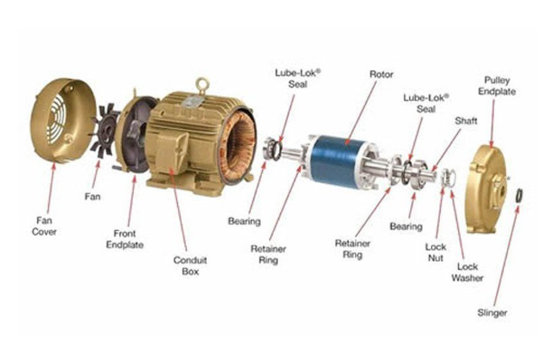 Chức năng của Roto và Stato