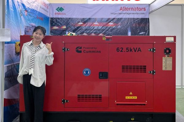 Kiểm tra m&aacute;y ph&aacute;t điện, hồ sơ v&agrave; th&ocirc;ng tin kỹ thuật chung